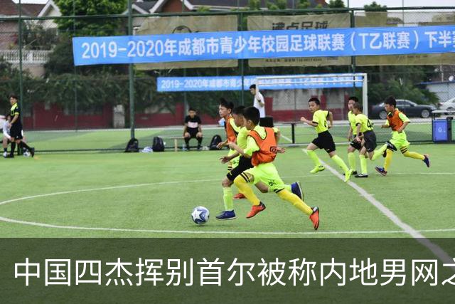中国四杰挥别首尔被称内地男网之痛，大威首次回应屡战屡败