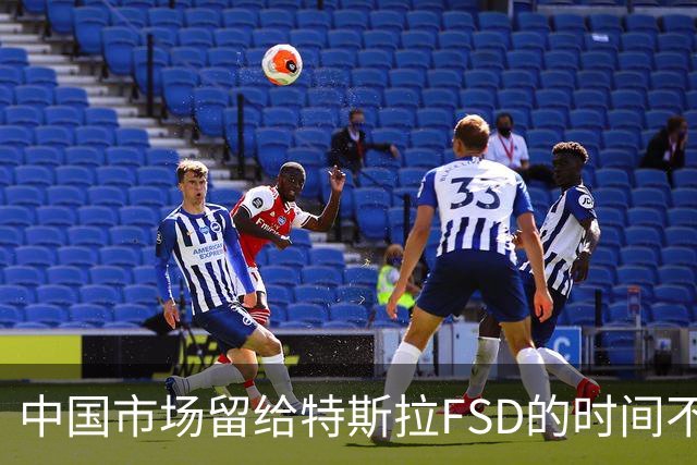 中国市场留给特斯拉FSD的时间不多了？