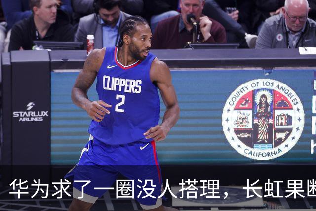 华为求了一圈没人搭理，长虹果断接盘