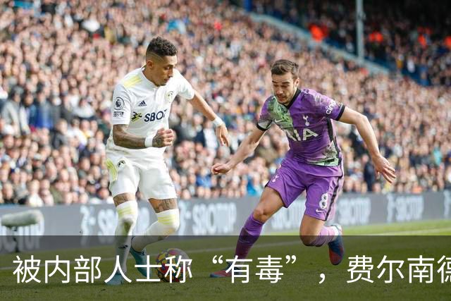 被内部人士称“有毒”，费尔南德斯公开质疑卡里克战术