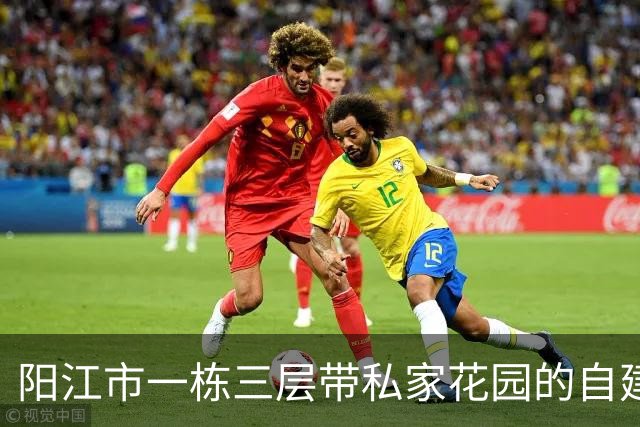 阳江市一栋三层带私家花园的自建房拍卖，才53万就成交，捡漏了