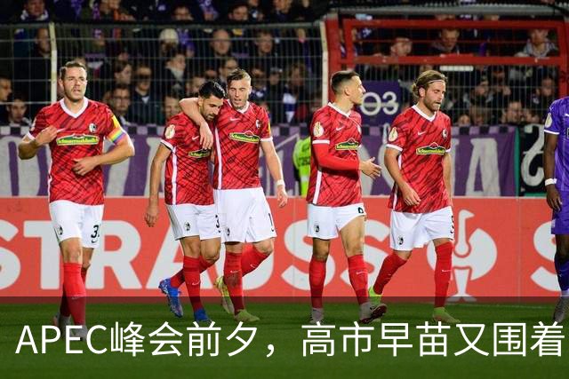 APEC峰会前夕，高市早苗又围着台湾问题做文章，背后的算计不简单